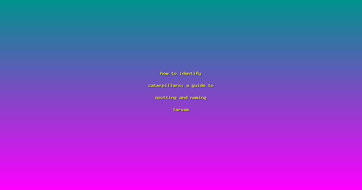 title image 7646