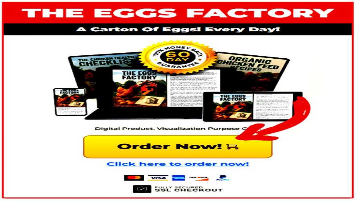 Backyard Eggs